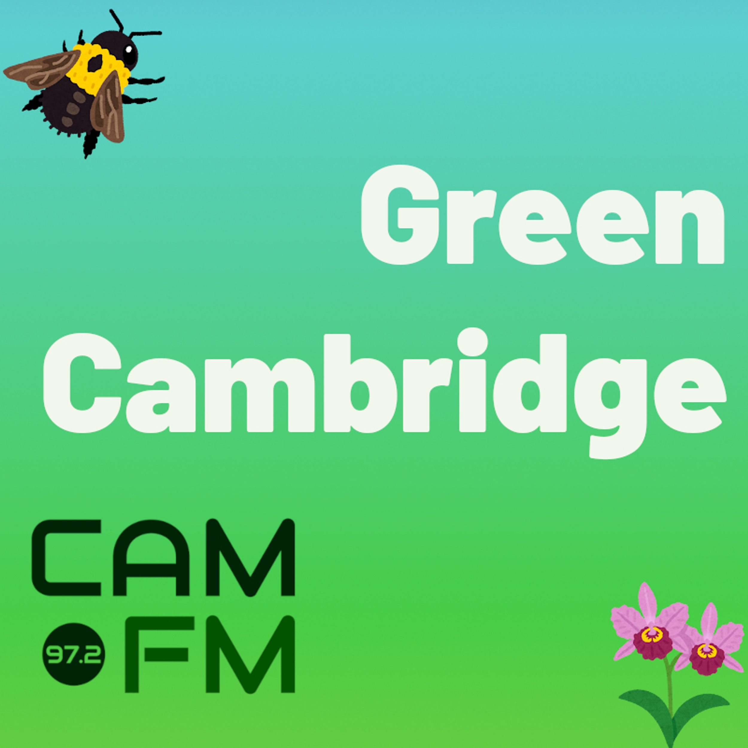 Green Cambridge: Meat in College